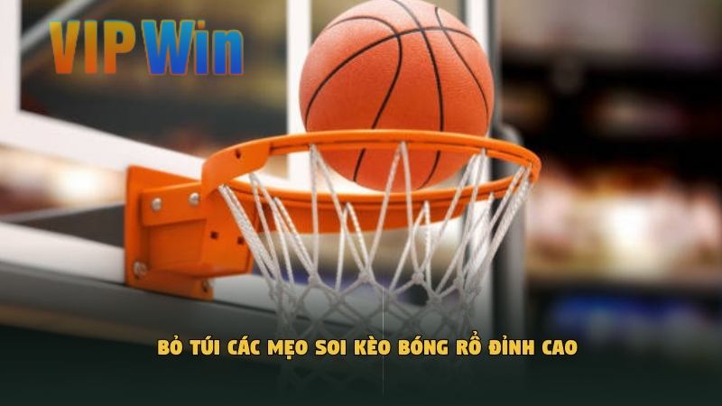 Bỏ túi các mẹo soi kèo bóng rổ đỉnh cao