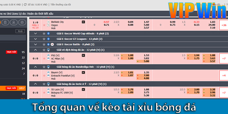 Kinh nghiệm chơi kèo tài xỉu: Chìa khóa dẫn dắt anh em tới thành công