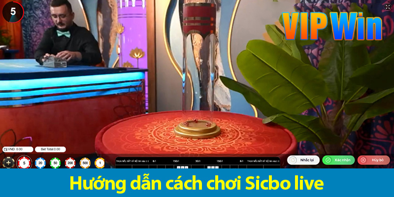 Cách chơi Sicbo live – Khám phá những mẹo chơi hiệu quả nhất 2025